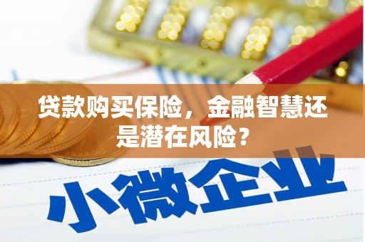 双清贷款购买保险，金融智慧还是潜在风险？
