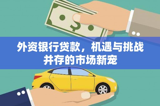 麦积外资银行贷款，机遇与挑战并存的市场新宠