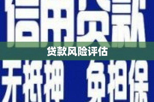 越西贷款风险评估