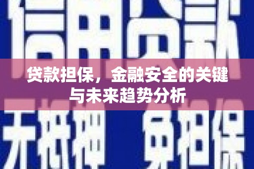 端州贷款担保，金融安全的关键与未来趋势分析