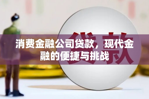 额济纳旗消费金融公司贷款，现代金融的便捷与挑战