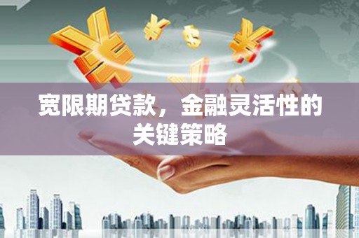 隆阳宽限期贷款，金融灵活性的关键策略