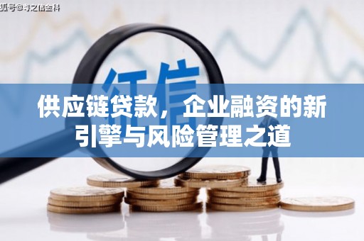 芦淞供应链贷款，企业融资的新引擎与风险管理之道