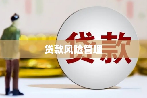 前镇贷款风险管理