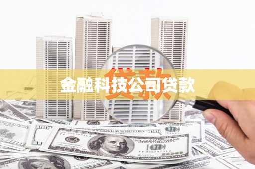 清新金融科技公司贷款