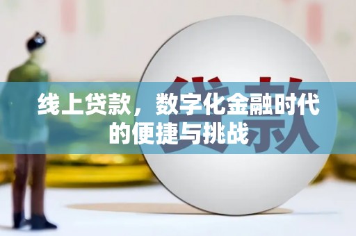 田林线上贷款，数字化金融时代的便捷与挑战