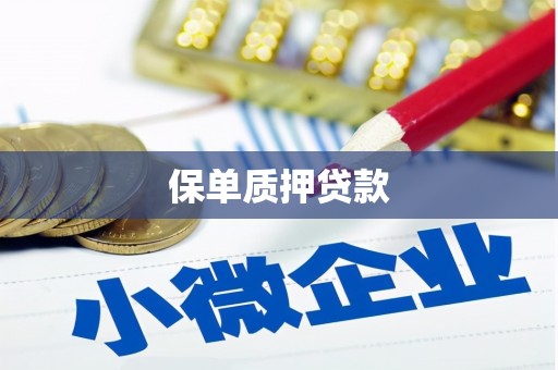 正阳保单质押贷款