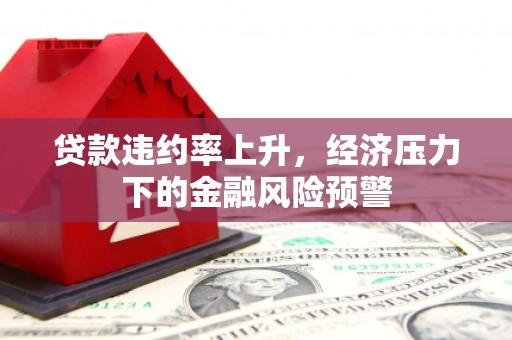 清河贷款违约率上升，经济压力下的金融风险预警