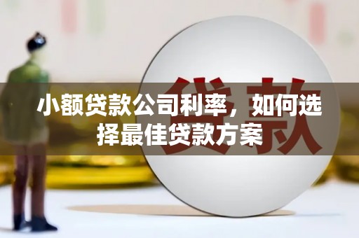 南宫小额贷款公司利率，如何选择最佳贷款方案