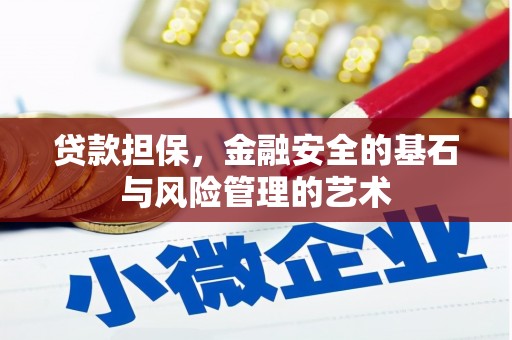 灌云贷款担保，金融安全的基石与风险管理的艺术