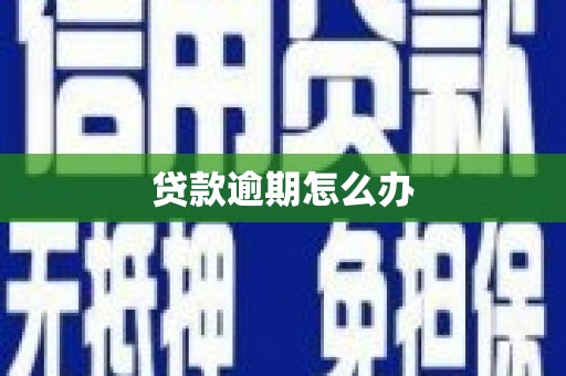 雾峰贷款逾期怎么办