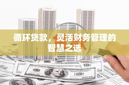 广宗循环贷款，灵活财务管理的智慧之选