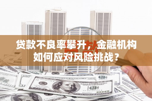 梧州贷款不良率攀升，金融机构如何应对风险挑战？
