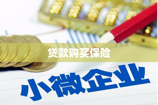 振兴贷款购买保险