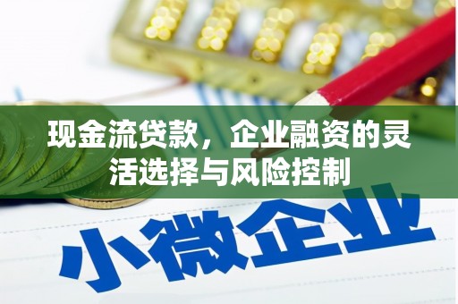 海陵现金流贷款，企业融资的灵活选择与风险控制