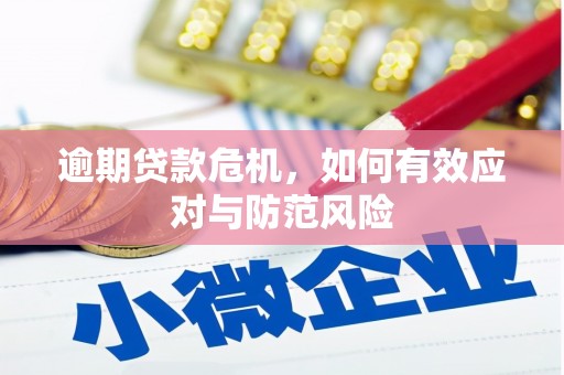 襄阳逾期贷款危机，如何有效应对与防范风险