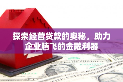 文安探索经营贷款的奥秘，助力企业腾飞的金融利器