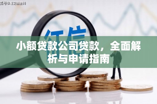 务川小额贷款公司贷款，全面解析与申请指南
