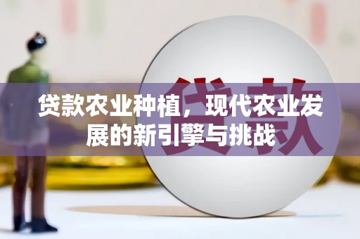 丰顺贷款农业种植，现代农业发展的新引擎与挑战