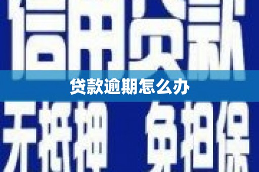 雷州贷款逾期怎么办