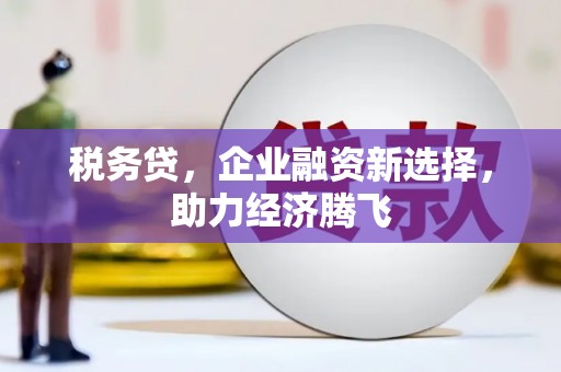 南票税务贷，企业融资新选择，助力经济腾飞