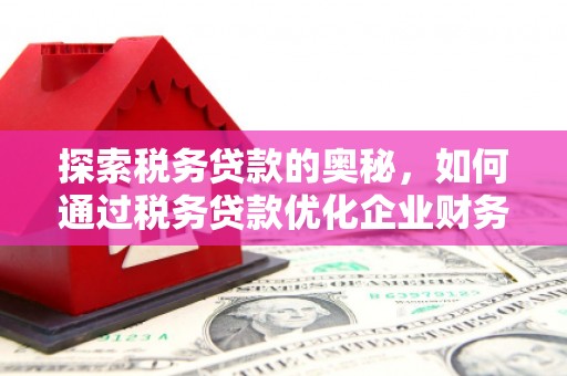 平舆探索税务贷款的奥秘，如何通过税务贷款优化企业财务