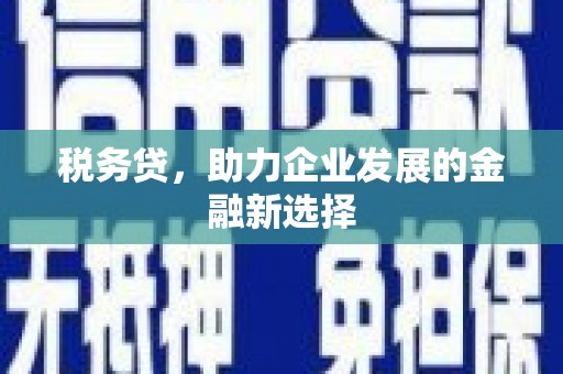 咸丰税务贷，助力企业发展的金融新选择