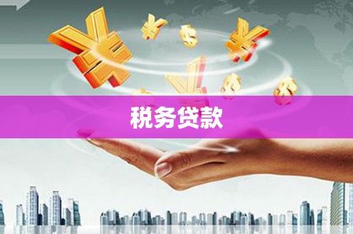 忠县税务贷款