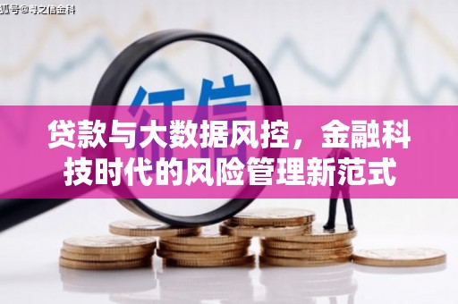 泸县贷款与大数据风控，金融科技时代的风险管理新范式