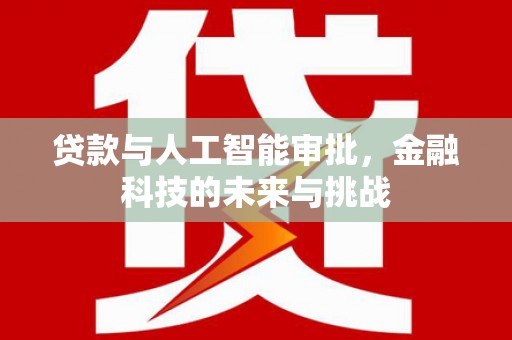 云阳贷款与人工智能审批，金融科技的未来与挑战