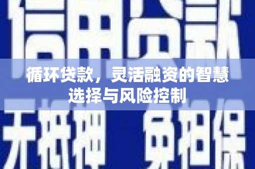 木兰循环贷款，灵活融资的智慧选择与风险控制