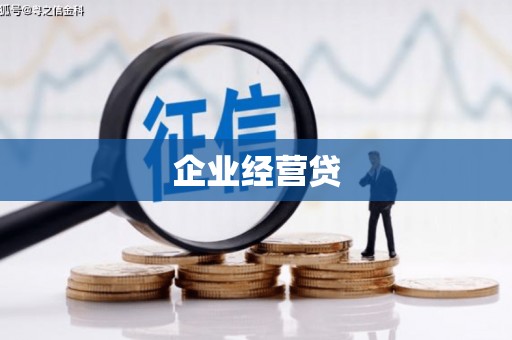 广南企业经营贷