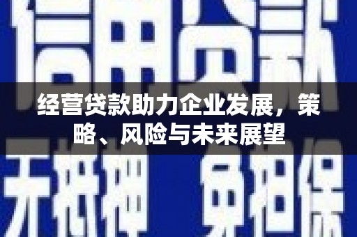 竹崎经营贷款助力企业发展，策略、风险与未来展望