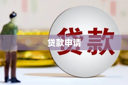 温宿贷款申请
