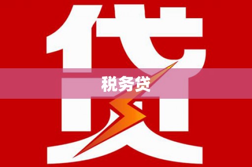 广河税务贷
