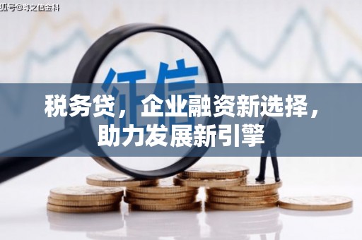 东平税务贷，企业融资新选择，助力发展新引擎