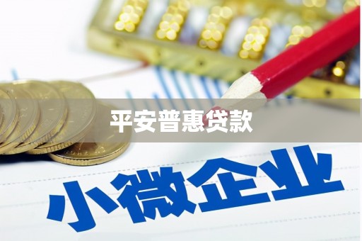 耀州平安普惠贷款