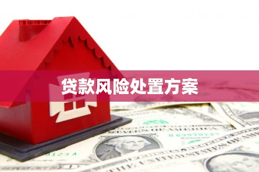 闽侯贷款风险处置方案