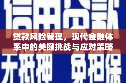 澜沧贷款风险管理，现代金融体系中的关键挑战与应对策略