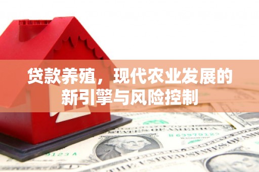 精河贷款养殖，现代农业发展的新引擎与风险控制