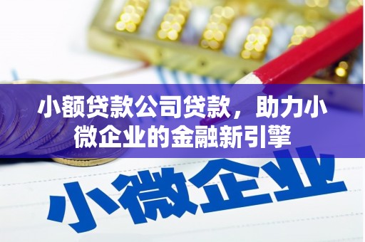 太康小额贷款公司贷款，助力小微企业的金融新引擎