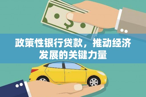 永年政策性银行贷款，推动经济发展的关键力量