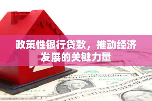 岳阳楼政策性银行贷款，推动经济发展的关键力量