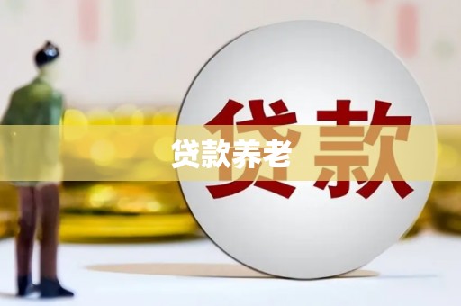社旗贷款养老