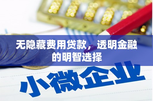 澄江无隐藏费用贷款，透明金融的明智选择