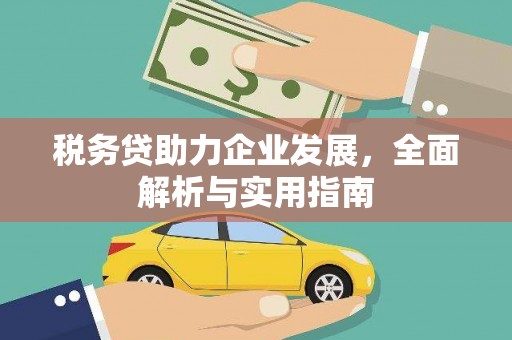 布袋税务贷助力企业发展，全面解析与实用指南