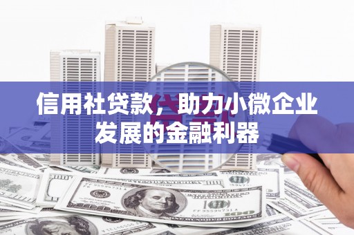 边坝信用社贷款，助力小微企业发展的金融利器
