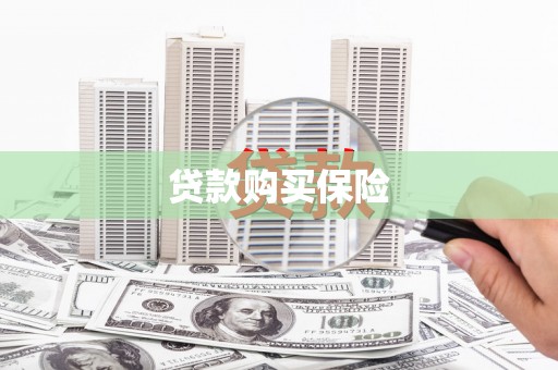 深州贷款购买保险