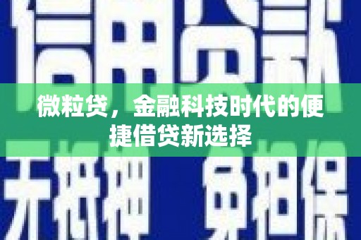 桓台微粒贷，金融科技时代的便捷借贷新选择