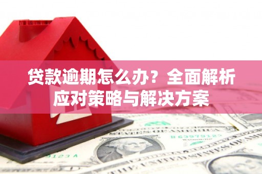 三穗贷款逾期怎么办？全面解析应对策略与解决方案